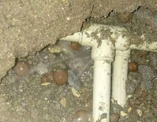 来宾卫生间测漏