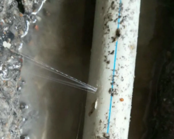 来宾卫生间测漏水多少钱